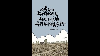 "하나님께서 찾으시는 그 사람이 당신이기를!!"  수요일새벽예배 (20241127). 신림성결교회