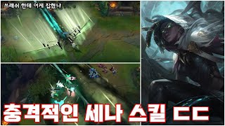 궁이 글로벌 스킬?-충격적인 세나 스킬 공개(트루 데미지 관련 이모저모)