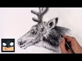 How To Draw Reindeer | Sketch Tutorial