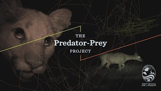 Washington Predator-Prey Project