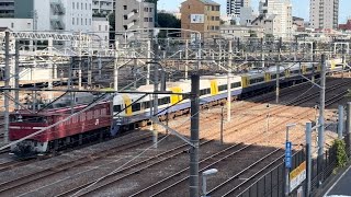 （255系ﾏﾘBe-05編成廃車回送に伴うAT入場）国鉄EF81形134号機＋JR東日本255系ﾏﾘBe-05編成が大宮操車場を通過する動画（2024.6.4）