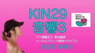 【マヤ暦がやばい！ KIN29・音響3】 マヤ暦今日のお勧めの過ごし方