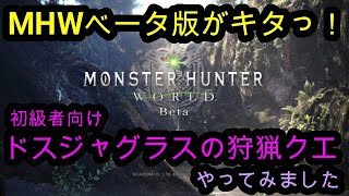 【MHW】モンスターハンター：ワールドベータテスト版　初級者向けクエやってみました！