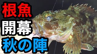 【ロックフィッシュ】秋の知多半島の漁港で根魚！誰でも簡単•お手軽 ライトロックフィッシュゲーム！