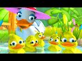 FIVE LITTLE DUCKS -3D ANIMATION ENGLISH NURSERY RHYMES FOR KIDS