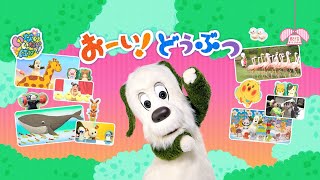 【💖配信オリジナル！12/20配信開始】いないいないばあっ！ おーい！どうぶつ