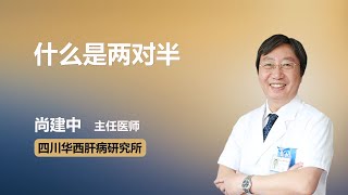 什么是两对半 尚建中 四川华西肝病研究所