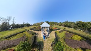 2024 【香港太平山\u0026山頂公園】之「秘境花園」Victoria Peak Hike in Hong Kong🇭🇰