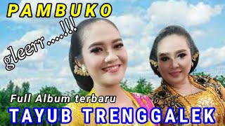 tayub pambuko full album yang enak di dengar wiwit awal sampai akir✓asli tayub trenggalek