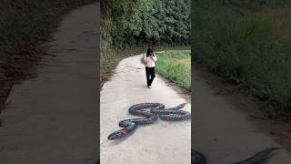 Amazing Snake 🐍 3D art on road 🤯 #shorts #arts #funny #comedy