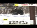 「指定管理鳥獣」に指定されるなどクマによる被害対策案が了承　国のクマ捕獲のための金銭的支援　手続きへ