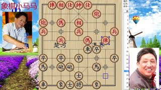 中国象棋： 顺炮小飞刀，一刀致敌，柳大华先胜胡荣华，顺炮直车对横车