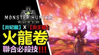 RE【MHW 】🔥火龍卷 夫妻必殺技 火燭呀 !!! 【炎妃龍 \u0026 炎王龍】 唯有跪拜一途【Monster Hunter: World  魔物獵人 世界 | PS4 PC 中文 Gameplay 】