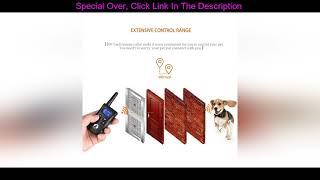 ⚡️ Wholesale Paipaitek Remote Dog Training Collar Electric Shock Collar Rechargeable \u0026 Waterproof B