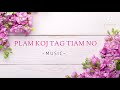 Plam Koj Tag Tiam No | Saub Lig Yaj & Nkauj Ntxhee Xyooj (lyrics)