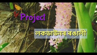 Project লকডাউনৰ ৰঙালী || Lockdown Bihu celebration, 2020 ||