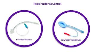 Low-flow Anesthesia Series: End-tidal Control (US)