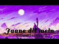 Jaane Dil Mein Kabse Hai Tu | Slow+Reverb