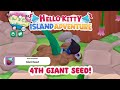 FOURTH GIANT SEED location and where to plant it! 🌱✨ Hello Kitty Island Adventure ❤️