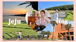 [vlog] ✨2박3일 제주도 여행 브이로그 | 녹차밭뷰 카페 | 부영호텔 | 노을 맛집 | 협재 | 해물라면