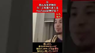 Q.色んな生き物のう○こを食べまくるYouTubeは伸びると思いますか？