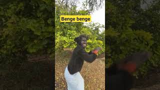 benge benge .. #memes #viral #video #youtubeshorts #shortsfeed #comedy #funny #viralvideo #mim