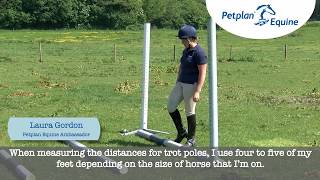 Petplan Equine Pole and Jumping Exercise Stride Guide