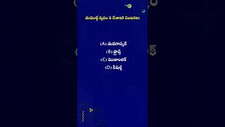 చిడో తుఫాను ప్రభావం: మయొట్టే ద్వీపం మరియు ఫ్రాన్స్ సంబంధం! #currentaffairs #gk #quiz #ytshots