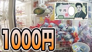 【UFOキャッチャー】1000円で景品どれだけ獲れるのかやってみた！