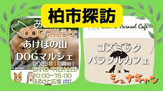 【イベント】柏市探訪　”あけぼの山DOGマルシェとコズミックパラソルカフェ”