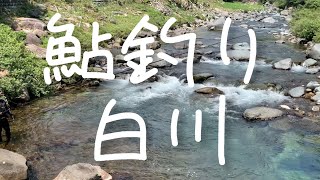 【鮎釣り】白川（岐阜県）2022.6.17｜初投稿、練習【友釣り】