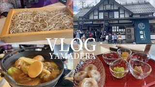 そば三昧するならここ！【VLOG】山寺,焔藏