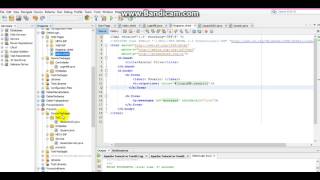 Ingreso del Usuario (Login) en JSF.