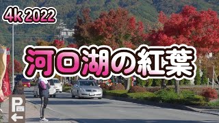 【4k】2022/10/31「河口湖紅葉回廊」近郊を歩いてみた