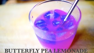 butterfly pea flower tea lemonade - healthy vegan drink