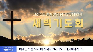 2022-10-01 (토) | 용서할 수 있는 힘 | 마태복음 18:35 | 최창수 목사 | 분당우리교회 새벽기도회