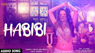 Habibi | Bollywood Songs | Latest Bollywood Songs 2021 | New Hindi Song | Super Records