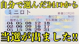 【ミニロト】自分で数字を選んだら久しぶりに当選が来てくれました！！