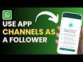 How To Use WhatsApp Channels as a Follower !