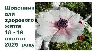 Щоденник важливих справ на городі, в садочку, на квітнику, для здоров'я 18-19 лютого 2025 року