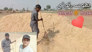 Gandam ka Bhoosa/Wheat Straw/Bhoosa pressing/#vlog#newvlogs #Bhoosa#Torri#villagevlog