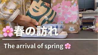 🏠【暮らしVLOG】The arrival of spring　春の訪れ　/　さくら　/　スタバ　/　栄養つけて元気になろう　退院　VLOG