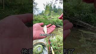 野钓小河沟连续钓一个窝子第一天#钓鱼 #fishing #钓鱼的乐趣只有钓鱼人懂