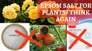 Epsom Salt for plants - Myth