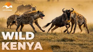 WILD KENYA | Part 2: The Wild’s Deadly Balance - Predators & Prey | Wildlife Documentary