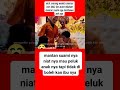 Pengntin pria mau peluk anak tapi tidak boleh mantan istri