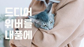 보기만 해도 마음이 편안해지는 고양이 동영상