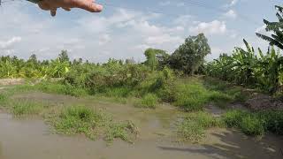 Backfilling the low Land in Viet Nam