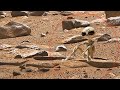 New Mars 4K Footage Perseverance's Amazing Findings on Sol 1672