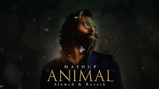 ANIMAL Mashup Nonstop - Jukebox | Jay Guldekar | Satranga | Pehle Bhi Mein